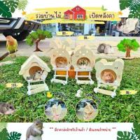 ราคา บ้านนก หนูแฮมสเตอร์ ชูก้าร์ไกลเดอร์ กระรอก มีบันได 4 แบบ บ้านสัตว์เลี้ยงขนาดเล็ก (1729821196835915873)