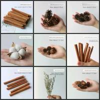 ราคา ชุดวัสดุของขวัญดอกไม้แห้ง, อบแห้งด้วยอากาศ, อบเชย, ลูกอม, และพุด, ดอกไม้แห้งสดผสม, เหมาะสำหรับอโรมาเธอราพีช่อดอกไม้ DIY (1731999109901092625)