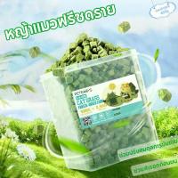 ราคา หญ้าแมวฟรีซดราย 450 กรัมน้ำหนักสุทธิ ผสมอกไก่แ ช่วยสำรอกก้อนขน ไม่ต้องเสียเวลาปลูก ขนมแมว กินง่าย หญ้าแห้ว แมว (1731608069822057110)