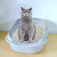 ราคา Yong4you เซตกะบะทรายแมว กระบะทราย กระบะทรายแมว รุ่นขอบสูง พร้อมที่ตักทราย CF-S13 (1729963850472786240)