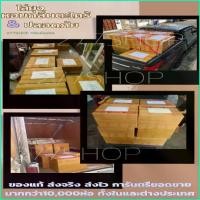 ราคา tracy6shop ธูป ไล่ ยุง 250ก้าน ธูปกำจัดยุง ธูปสมุนไพรไล่ยุง ตะไคร้หอมไล่ยุง ไล่ยุง ตะไคร้ไล่ยุง (1729721832252083005)