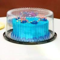 ราคา กล่องเค้กพลาสติกใสแบบใช้ซ้ำได้ 10 ชิ้น 6/8 นิ้ว กล่องเค้กชีส มูส กล่องบรรจุอาหาร กล่องใส่เค้ก (1732413815300326616)