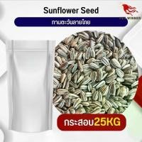 ราคา [พร้อมส่ง] ทานตะวันลายไทย อาหารนก อาหารสัตว์ (กระสอบ 25KG) (1732105167818491673)