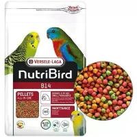 ราคา NutriBird B14 (แบ่งขาย 0.5 kg.) นูทรีเบิร์ด บี14 อาหารนก ฟอพัส หงส์หยก เลิฟเบิร์ด ค็อกคาเทล กรงหัวจุก นกกรงหัวจุก (1732085743498266454)