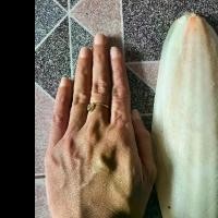 ราคา ลิ้นทะเล กระดองปลาหมึก อาหารนก2ตัว (1730849052920678520)