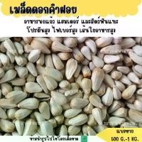 ราคา เมล็ดดอกคำฝอย (ทานตะวันขาว) แบ่งขาย 200-500 G. อาหารนก อาหารแฮมเตอร์ (1729584237773556167)