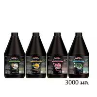 ราคา แชมพู แคร์บิว แฟนตาซี บิวตี้ 3000 มล. สูตรเย็น/โคโคนัท ออยล์/ซากุระ/ชาเขียว&เลม่อน Carebeau Fantasy Beauty Shampoo ถนอมเส้นผม (1730309383933888879)