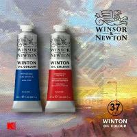 ราคา สีน้ำมัน Winsor & Newton Winton หลอด 37 มล. (1732648906290332952)