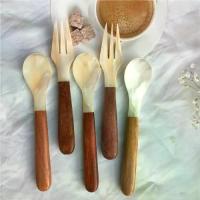 ราคา ช้อนคน เครื่องปรุงรส เปลือกหอยธรรมชาติ ช้อนส้อมกาแฟ ช้อนขนมไอศกรีม ส้อม ช้อนชา (1731413561543394866)