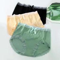 ราคา ชุดชั้นในสตรีพลัสไซส์ พลัสไซส์ จิน เอวสูง ผ้าฝ้ายต้านเชื้อแบคทีเรีย ลูกไม้ เหมาะสำหรับสาวอวบ กางเกงในสตรี ควบคุมหน้าท้อง (1732308162721843265)