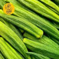 ราคา MKSLQE ผักกรอบ กระเจี๊ยบกรอบ กระเจี๊ยบอบกรอบ By Siam Spiced ของกินเล่น ของฝาก ขนม แนะนำวันนี้ ลูกชิด อบแห้ง มะม่วง หนึบ ยาย มี (1732161444601038566)