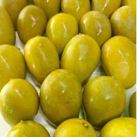 ราคา มะม่วงดองเปรี้ยว มะม่วงดอง( 500 กรัม ) แถมฟรีพริกเกลือรสแซ่บ มะม่วง (1731157156877601645)