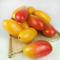 ราคา มะม่วง ปลอม มะม่วงสุก มะม่วงเหลืองแดง ผลไม้ปลอม เหมือนจริงมากๆค่ะ เหมาะสำหรับตกแต่งบ้าน ร้านค้า หรือใช้เป็นพร๊อพถ่ายรูป (1730185590111046410)