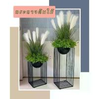 ราคา CT182D079 TROPACL กระถางต้นไม้ กระถางต้นไม้หรู กระถางต้นไม้สีทอง ต้นไม้ปลอม (1729697226528163850)