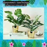 ราคา TS061J001 TROPACL กระถางเซรามิค ต้นไม้ปลอม มอนสเตอร่าปลอม ต้นมอนสเตอร่า ต้นออมเงิน ต้นไม้ปลอมพร้อมกระถางเซรามิคสีทอง (1729603191910402058)