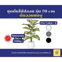 ราคา [Gardenmart] ต้นไม้ปลอม ชุดต้นออมชมพู สูง 70 cm รวมกระถางมินิมอล ขนาด 7 นิ้ว [ฟรีหิน] (1729607931144539068)
