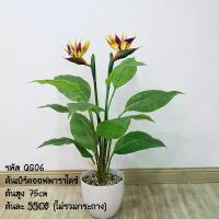 ราคา พร้อมส่ง ต้นไม้ปลอม ต้นเบิร์ดออฟพาราไดซ์ 75 ซม.(ไม่รวมกระถาง) คําแนะนําการขายที่ร้อนแรงในเดือนนี้ (1732202205115221753)