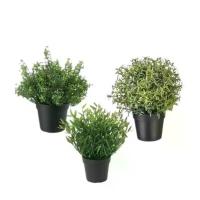 ราคา ต้นไม้ปลอม ไม้ประดิษฐ์ในกระถาง ต้นไม้ปลอม 9 ซม. FEJKA เฟคก้า IKEA (1729654299833895109)