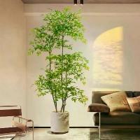 ราคา พืชสีเขียวประดิษฐ์, บอนไซพื้น Tianzhu ใต้, ตกแต่งพืชสีเขียวไบโอนิคขนาดใหญ่ในร่ม, ห้องนั่งเล่น, ตกแต่งหรูหราที่ราคาไม่แพง, ดอกไม้ตกแต่ง, ต้นไม้ปลอม (1730204150884108472)