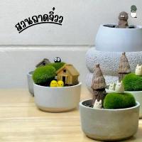 ราคา สวนถาดจิ๋ว สวนถาดตั้งโต๊ะทำงาน ต้นไม้ปลอม ไม่ต้องดูแล เซ็ทจัดเอง กระถางปูนพร้อมตุ๊กตาสำหรับแต่ง จัดส่งเฉพาะจุด (1731625594007947066)