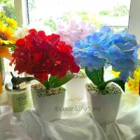 ราคา ต้นไฮเดรนเยีย (ต้นไม้ปลอม) ดอกไฮเดรนเยีย มินิมอล ตั้งโต๊ะ น่ารัก (1731751326611506192)