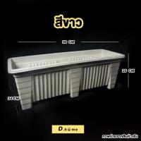 ราคา ถาดเพาะกล้า "พลาสติกกระถางพลาสติกรางใหญ่จั้มโบ้ขนาดใหญ่ ต้นไม้ปลอม "กระถางชวนชม (1732665605863147133)