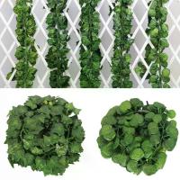 ราคา 12 ชิ้น/แพ็ค อ้อยไม้เลื้อยประดิษฐ์ 2 ม.ดอกไม้ปลอม ใบองุ่น ใบไม้สีเขียว ต้นไม้ปลอม เถาวัลย์ ตกแต่งเพดานท่อ เถาวัลย์พลาสติก เถาวัลย์ดอกไม้ (1729804356394584176)