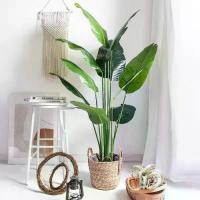 ราคา ต้นกล้วยเทียม ขนาดใหญ่ (32") ตกแต่งบ้านห้องนั่งเล่น สไตล์เขตร้อน ต้นปาล์มเทียม ต้นไม้ปลอม (1732467802568426694)