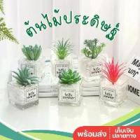 ราคา ต้นไม้ปลอม พร้อมกระถางแก้ว ตั้งโต๊ะ กุหลาบหินปลอม ตะบองเพชรปลอม กระบองเพชรปลอม ต้นไม้ประดิษฐ์ (1729621483719133926)