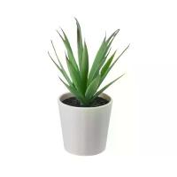 ราคา ต้นไม้ปลอม ต้นไม้กระถางประดิษฐ์ 6 ซม. ต้นหญ้าปลายแหลม FEJKA เฟคก้า IKEA (1729654294667626693)