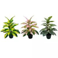 ราคา พร้อมส่ง ต้นไม้ปลอม ต้นยางอินเดียด่างเหลืองเล็ก สูง 30 ซม. 28 ใบ สำหรับตกแต่งบ้าน (1732591069174400205)