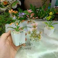 ราคา กุหลาบหิน มินิมอล (ต้นไม้ปลอม) ขนาดกำลังดี วางโต๊ะ แต่งห้อง Flowers (1730509661615589392)