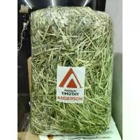 ราคา Timothy Anderson Premium 3kg. หญ้าทิมโมธีก้านร่อนฝุ่น เกรดพรีเมี่ยม อาหารกระต่าย สัตว์ฟันเเทะ ขายดีประจำเดือนนี้ (1731651432613250680)