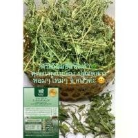 ราคา ♫#ถั่วอัลฟัลฟ่าอบแห้ง 250g/1kg Premium Alfalfa Hay #หญ้าอัลฟัลฟ่า#หญ้ากระต่าย#อาหารกระต่าย#หนูแกสบี้#ชินชิลล่า#แพรรีด็อก◎ (1732738591486477940)