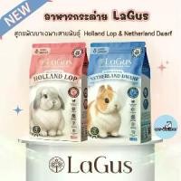 ราคา (1 KG) อาหารกระต่าย Lagus ลากัส สูตรเฉพาะสำหรับสายพันธุ์ Holland Lop & Netherland Dwarf อาหารเม็ดกระต่าย (1732332276852753726)