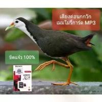 ราคา นกกวัก เสียงนกกวัก เสียงต่อ นกกวัก เมมโมรี่การ์ด MP3 (1731805722273220427)