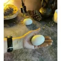 ราคา กัวซา หินแม่น้ำนวดกดจุด 2 ลูก จัดส่งฟรี กทม (1731852292660692421)