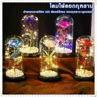 ราคา โคมไฟดอกกุหลาบ โคมไฟดอกไม้ โคมไฟตกแต่ง ไฟประดับ โคมไฟโหลแก้ว โคมไฟสวยๆ ไฟคริสมาส โคมไฟตั้งโต๊ะ แบบใส่ถ่าน(ไม่รวมแบตเตอรี่) (1731531652103899491)