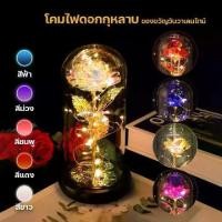 ราคา ดอกกุหลาบ ของขวัญวันวาเลนไทน์ โคมไฟดอกกุหลาบ โคมไฟดอกไม้ โคมไฟตกแต่ง ไฟประดับ โคมไฟโหลแก้ว โคมไฟสวยๆ ไฟคริสมาส โคมไฟตั้งโต๊ะ แบบใส่ถ่าน(ไม่รวมแบตเตอรี่) (1729881528017849284)