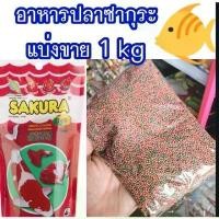 ราคา 【เก็บเงินปลายทาง】 อาหารปลา เม็ดเล็ก เม็ดจิ๋ว ปลาทอง ปลากัด อาหารปลาหางนกยูง 1 กิโล เกรดดี เร่งสี เร่งโต น้ำไม่ขุ่นไว (1732391476727089003)