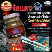 ราคา อาหารปลา ไรแดง UHT สำหรับ ปลาหางนกยูง ปลากัด ปลาสวยงาม ฟรี!! อาหารสำหรับปลาขนาดเล็กทุกชนิด และ ช้อนตัก+หลอดห (1732754314392274589)