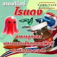 ราคา อาหารปลา ไรแดง UHT อาหารลูกปลา ปลากัด ปลาหางนกยูง ปลาสวยงาม ไรแดงสด ไลแดง ยังมี อาร์ทีเมีย ลูกน้ำ ไรนางฟ้า ไข่ไรนางฟ้า (1732704678949193246)