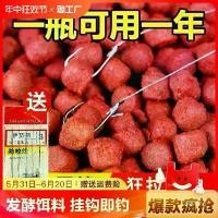 ราคา เหยื่อตกปลาล่อ, ป่า, สำหรับปลาคาร์พหัวรุนแรง, ปลาคาร์พ, ปลาหญ้า, ปลาตะเพียน, ปลาสีฟ้า, ปลาน้ำลึก, อาหารปลา All-Kill, เม็ดเกี่ยวโดยตรง (1732770557732488338)