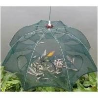 ราคา มุ้งดักปลา ที่ดักกุ้ง ดักปลา 8 ช่อง มุ้งกุ้งฝอย ที่ฝอย อุปกรณ์ตก ตาข่ายปลา กระชัง มุ้งปลา อาหารปลา (1732218417004512932)