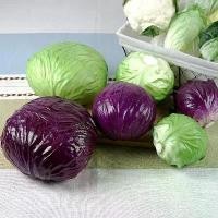 ราคา ผักกะหล่ำปลีขนาดใหญ่ประดิษฐ์, กะหล่ำปลีดำหลอก, ผัก, บรอกโคลี, กะหล่ำปลีจีน, ผักกาดหอม, น้ำมันมะกรูด, เครื่องประดับตกแต่งตู้ครัว ดอกไม้ ให้ แฟน ช่อ ใหญ่ ขา ตั้ง กุหลาบ ริบบิ้น กาก (1732543209087534570)