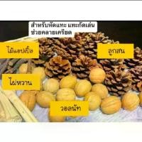 ราคา ของหัดแทะคลายเครียด วอลนัท,ลูกสน, ไม้แอปเปิ้ล,ไผ่หวาน (1731868735708497347)