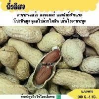 ราคา ถั่วลิสง (แบ่งขาย 1 KG.) อาหารนกนกแก้วขนาดกลาง-ใหญ่ แฮมสเตอร์ กระรอก กระแต (1732201082420627020)