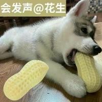 ราคา ของเล่นสุนัข ถั่วลิสง ทนทาน ของเล่นเคี้ยว ฟังก์ชั่นดนตรี เหมาะสำหรับสุนัขขนาดกลางและขนาดใหญ่ โกลเด้น รีทรีฟเวอร์ และลูกสุนัข บรรเทาความเบื่อหน่าย เครื่องมือที่มีประโยชน์ ขายตรง (1732570714765887073)