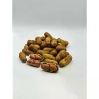 ราคา Moonaom ถั่วลิสง อบคั่วทราย 1 กิโลกรัม พร้อมรับประทาน แนะนำวันนี้ (1732758751958369426)