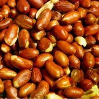 ราคา ถั่วลิสง นน. 5 กก (นำไปแบ่งขายได้คุ้มสุดๆ) กรอบ อร่อย พร้อมทาน มีรสเค็ม ทานคู่กับอะไรก็เข้า (1729603022914750618)